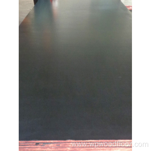 Black water proof film faced plywood for construction